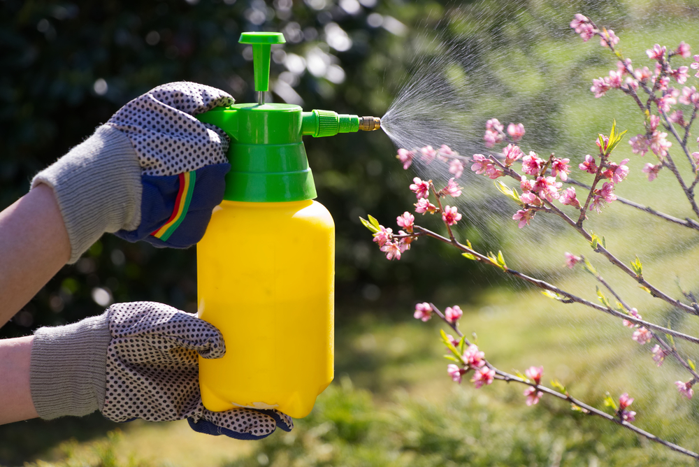 spray gegen pflanzenschädlinge