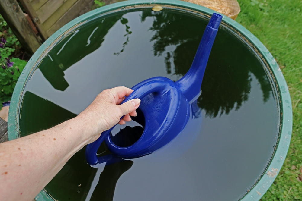 regenwassertonne