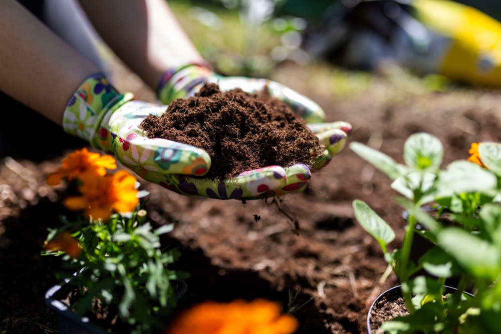 kompost für den garten